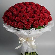 Букет 101 Красная роза Блэк Мэджик в Кулотино