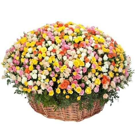 Премиум букет из: Розы в Кулотино