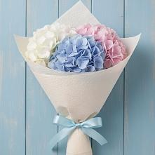 Букет цветов из:  Гортензия #REPLACE_PRED# Кулотино