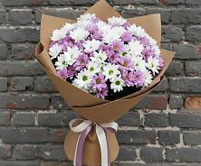 Букет цветов из:  Хризантемы #REPLACE_PRED# Кулотино