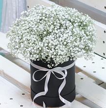 Цветочная композиция из Гипсофила в шляпной коробке #REPLACE_PRED# Кулотино