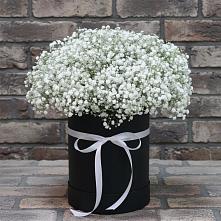 Цветочная композиция из Гипсофила в шляпной коробке в Кулотино