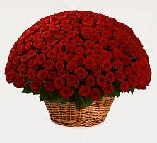 Премиум букет из: Розы в Кулотино